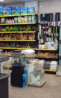 استخدام نیروی انبار فروشگاه اینترنتی آکواریوم