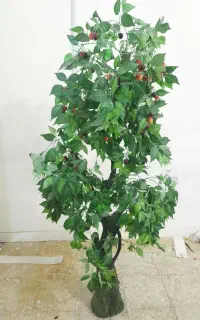 درخت تزئینی
