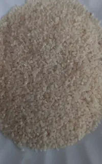 نیم دانه طارم. با عطر وبوی فراوان.