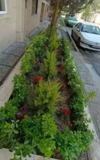 خدمات باغبانی هرسکاری بیل زنی کود دهقی سم پاشی