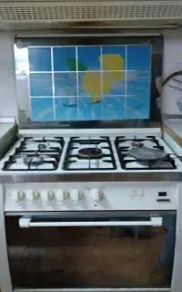 فرگاز