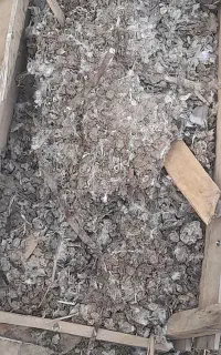 کودکفتر