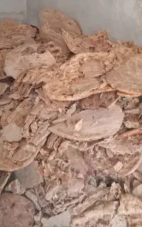 نان خشک