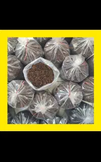 چای چوب