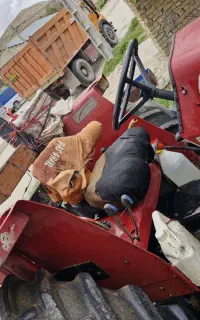 فرگوسن ۲۹۹جفت