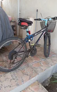 دوچرخه