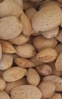 بادام درشت پرمغز تازه امسالی دیمه خشک شده