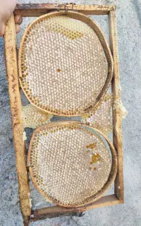 عسل طبیعی