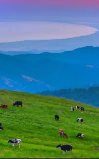 سفر به دل طبیعت ۶ شهریور