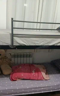 تخت خواب