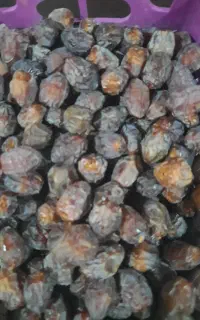 خرمای ریزه