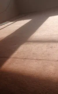 موکت در نوع نوع کلا یبار استفاده شده