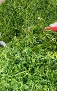 سبزی خورشتی، ترشی، رب،
