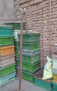 کندوی زنبور عسل