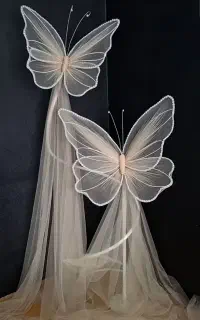 باکس گل روبانی،بال فرشته،پروانه حریر غول‌پیکر