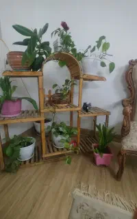 پایه گلدان بدون گلها