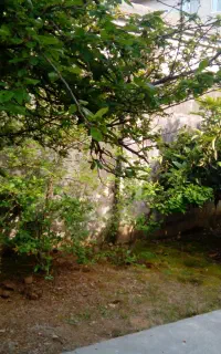 رهن و اجاره خانه ویلایی