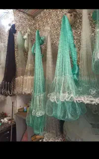 تور وسالی ماهیگیری