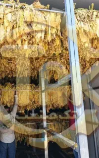 تونلی تکنولوژِی مدرن (توتون)دستگاه خشک کن