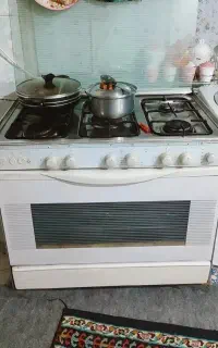 فرگاز پادیسان