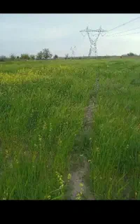 ۱۷۰۰ متر زمین برای باغ