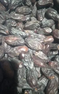 خرما ربی