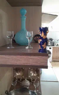 سلام واحترام خدمتت مردم ایران سال نو مبارک