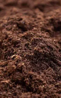 خاک باغچه مخصوص