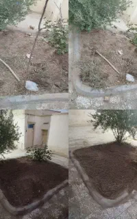 درست کردن باغچه پذیرفته میشود