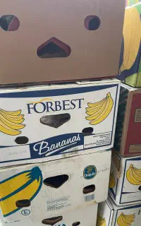 جعبه موز اسباب کشی