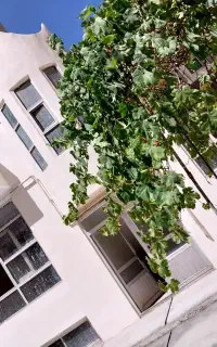 رهن و اجاره حیاط شمالی در رجائی شهر