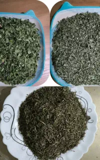آلو خورشتی،آویشن ، تره،پونه