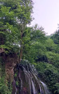 سماوربرقی هیئتی