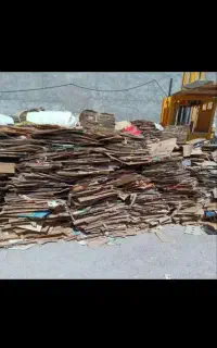 خریدارکارتون