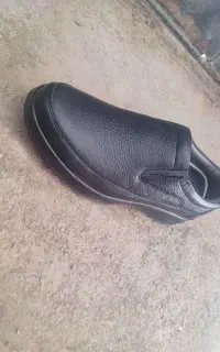 تازا دیلر