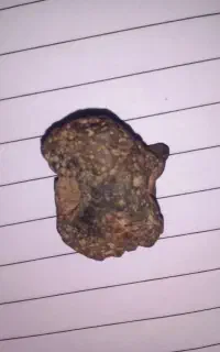 فروش