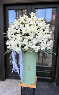 همکار آقا برای گلفروشی