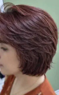 نیازمند مدل
