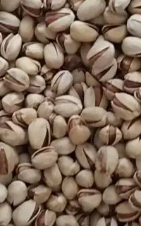 پسته