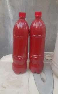 رب خانگی خیارشور