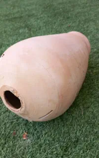 لانه پرنده