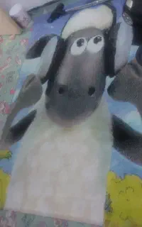 قالی و موکت