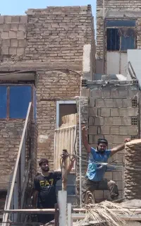 قطع نخل سمپاشی نخل هرس نخل درخت بریدن نخل تمیزنخل