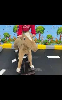 اسباب بازی اسب
