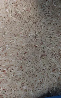 برنج محلی طارم درجه یک چرام