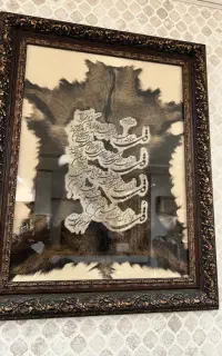 تابلوی پوست چهار قل