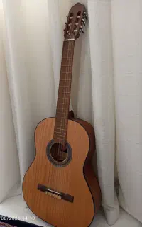گیتار چوب گزدو