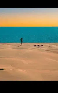 خط ۰۹۱۸۳۹۸۷۴۹۲ دائم