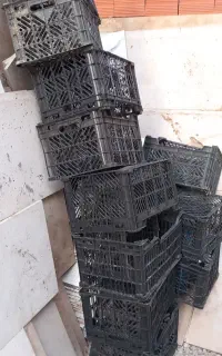 سبد گوجه