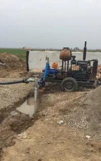 پرکنیز